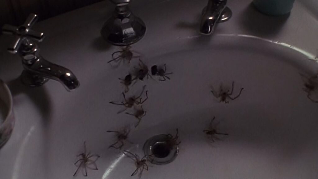 arachnophobia